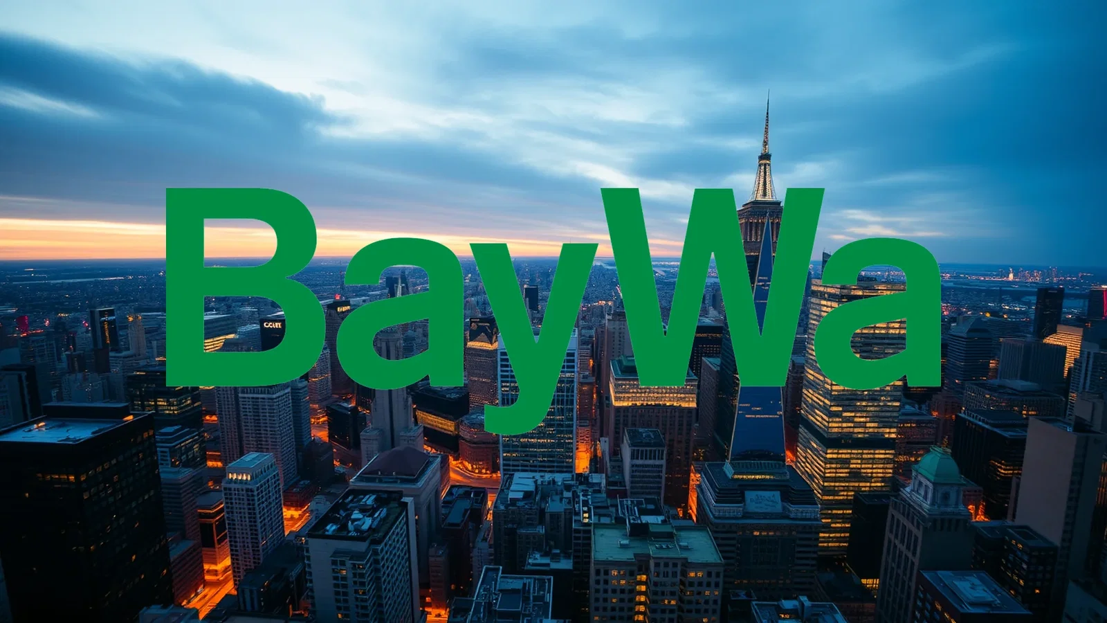BayWa Stock