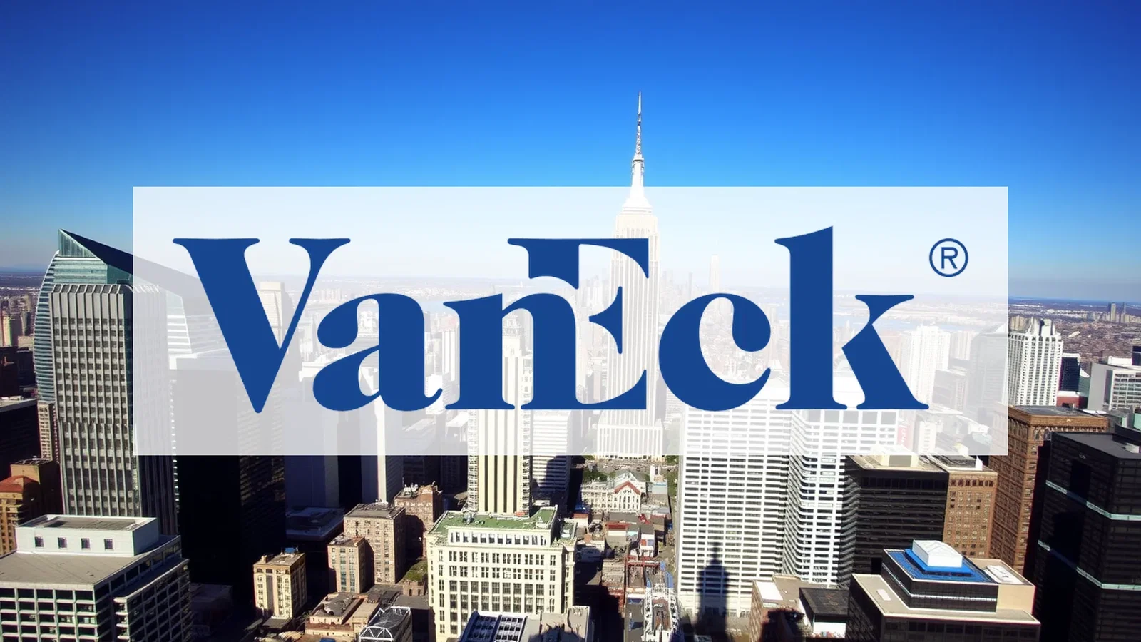 VanEck Morningstar Developed Markets Dividend Leaders UCITS ETF Stock