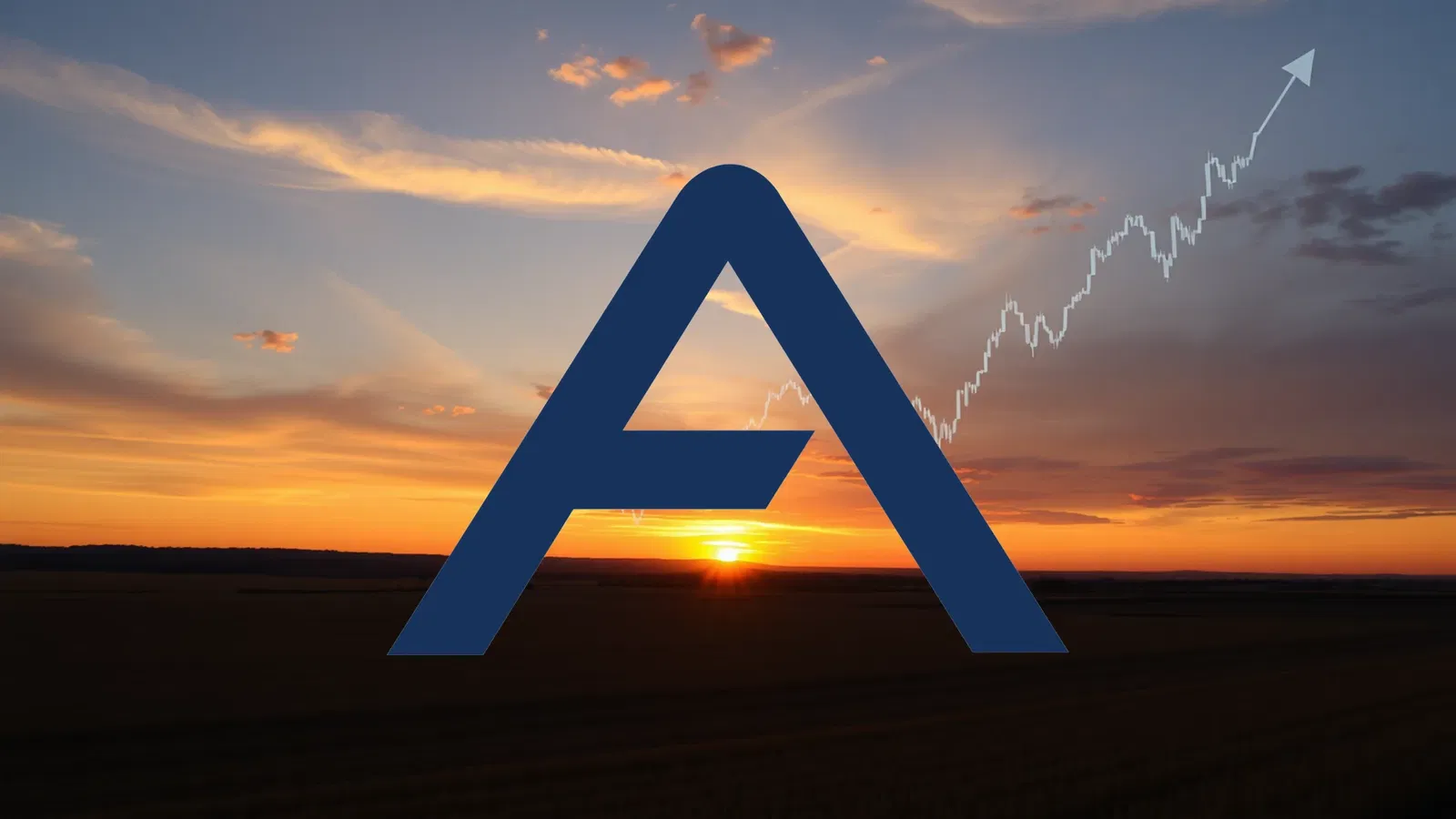 Arista Networks Stock