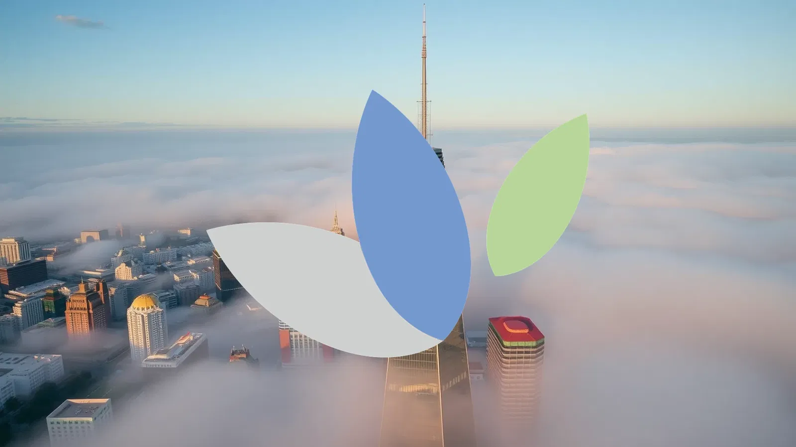 Protara Therapeutics Stock