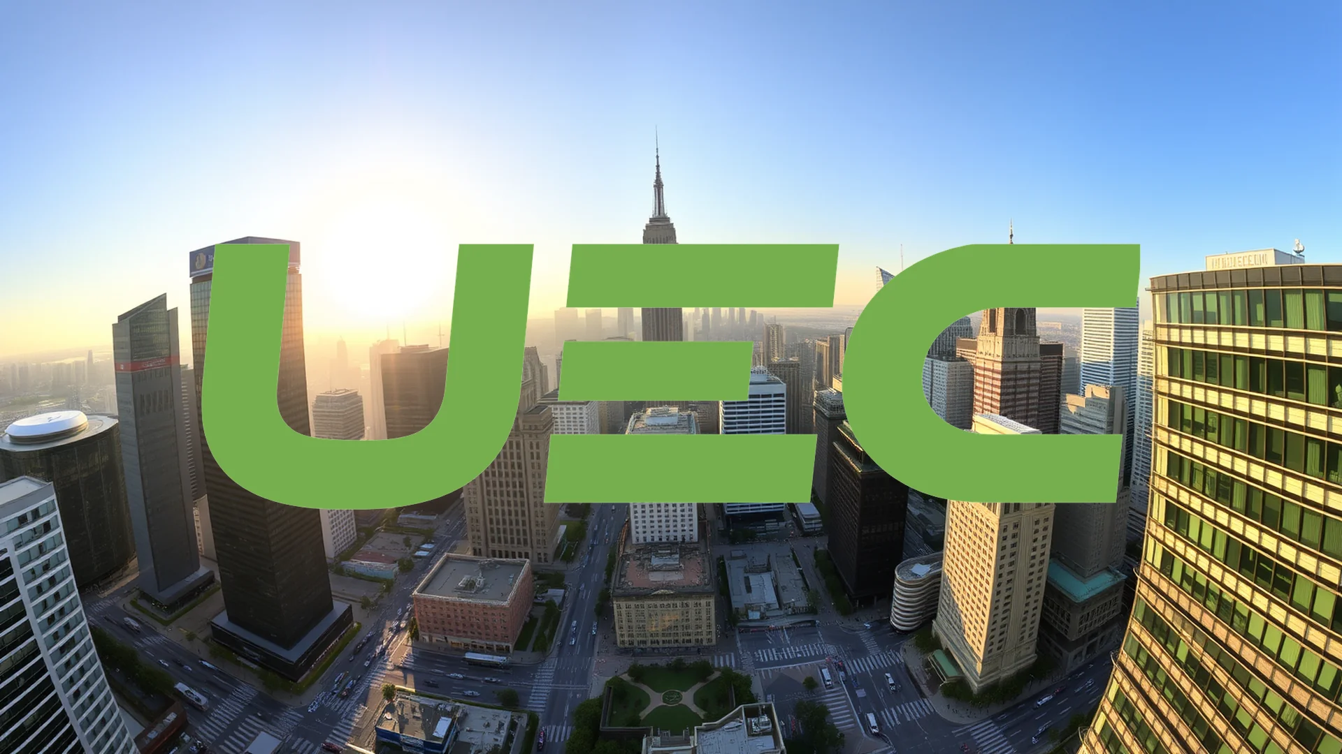 Uranium Energy Stock