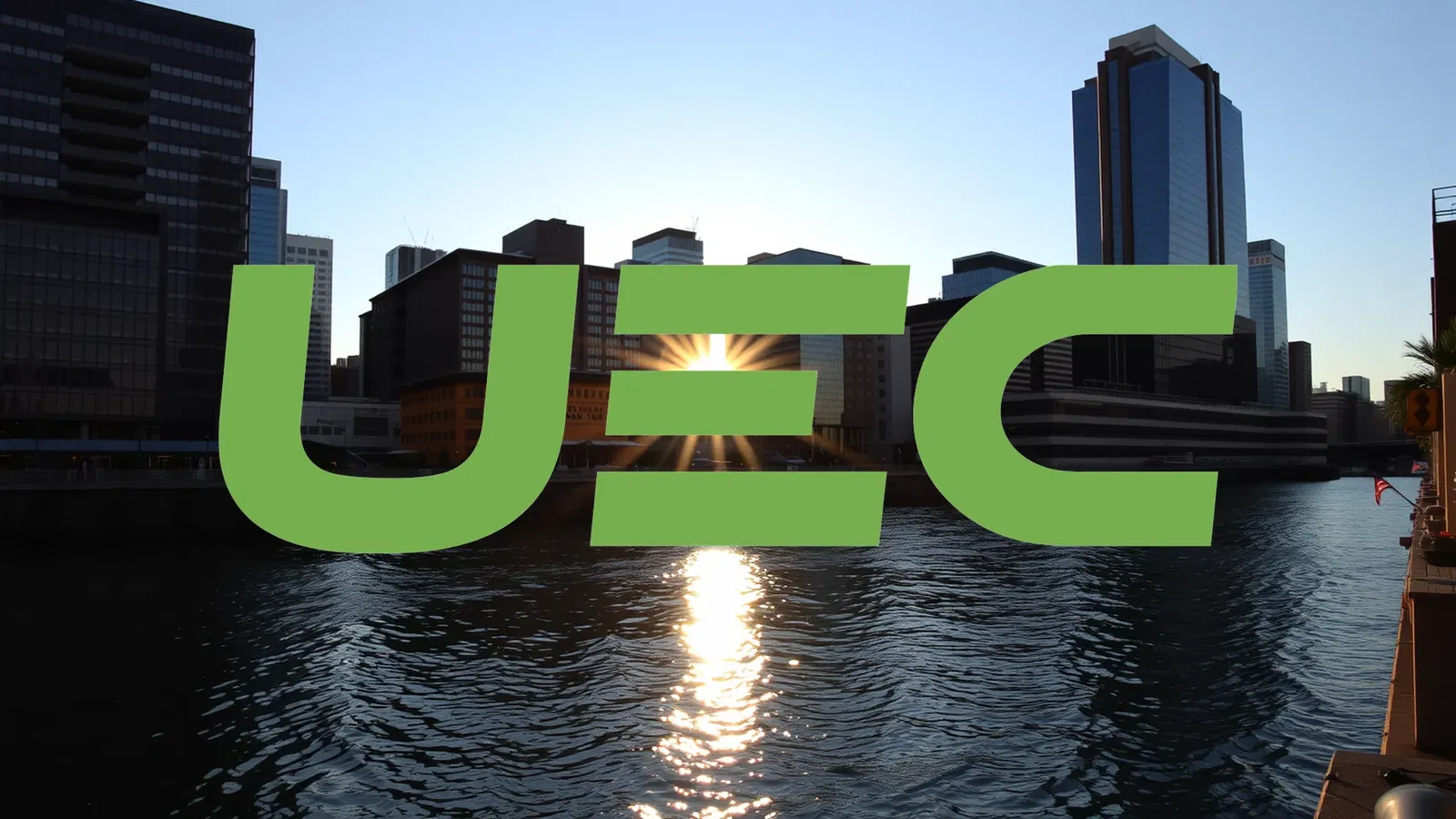 Uranium Energy Stock