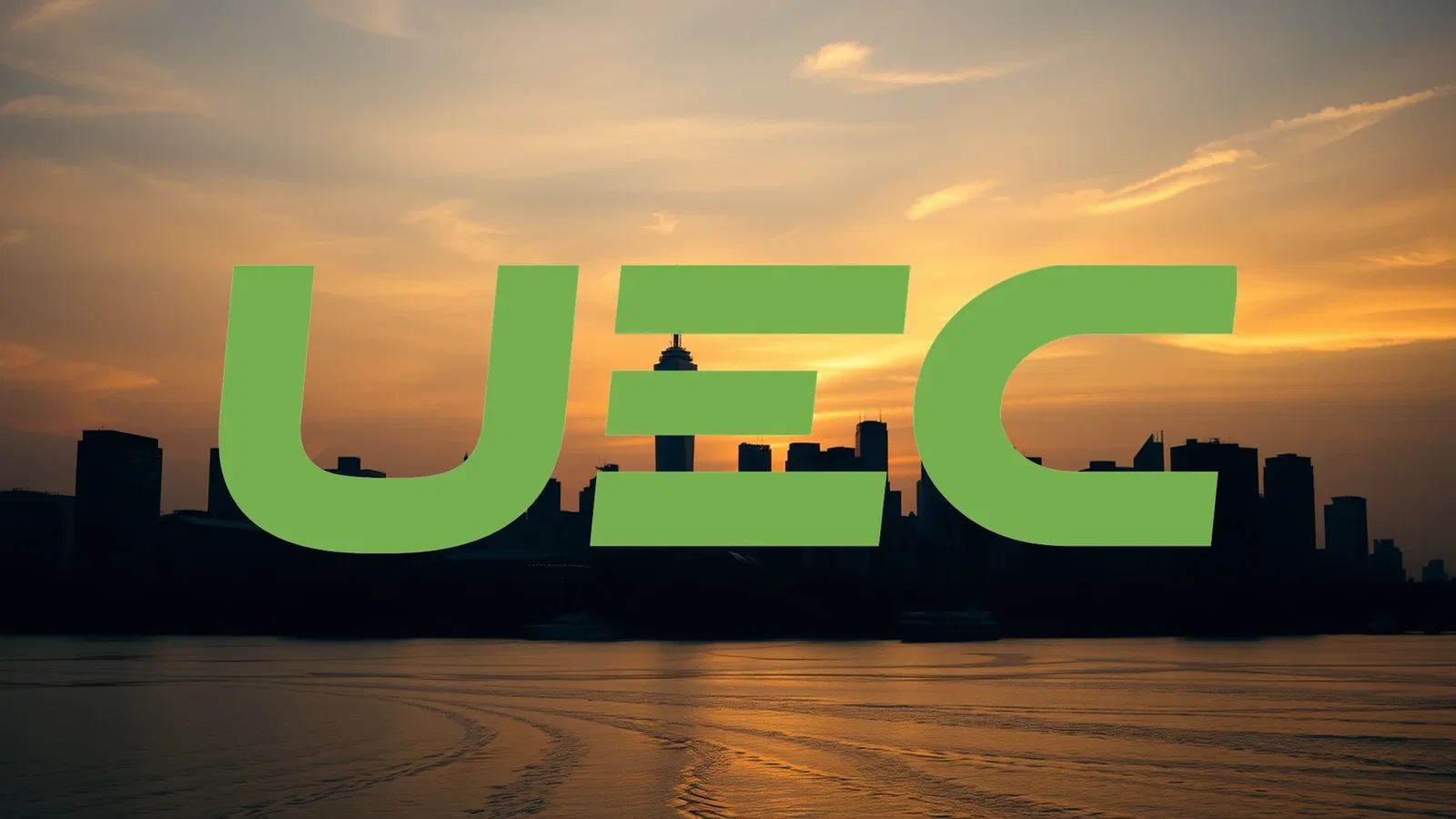 Uranium Energy Stock